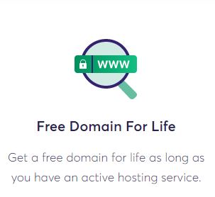  A Free Domain Name for the Rest of Your Life